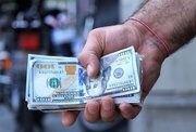 قیمت دلار، یورو و سایر ارزها امروز ۲۷ بهمن/بازار ارز شوکه شد